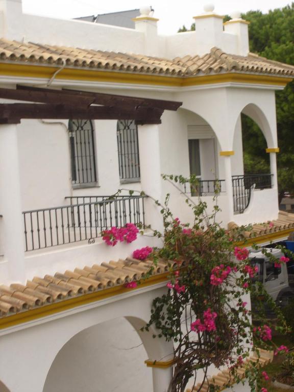 Hostal Los Pinos Zahora Rum bild